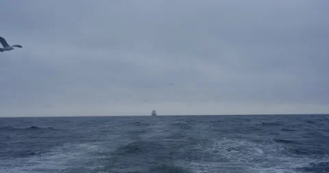 Endless gray ocean stretches beneath heavy dull clouds Stock-Footage 321775041