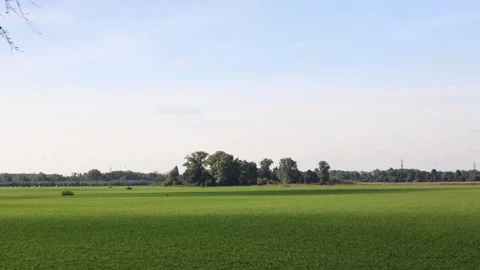 Endless green field stretches toward the horizon under a soft blue sky with dist Stock Footage 313843655