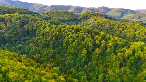 Endless Green Views Stock Footage 306031036