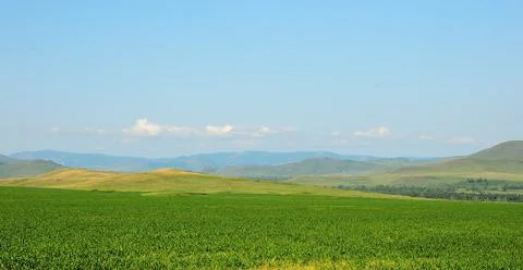 Endless hilly steppes under a blue sky on a bright summer day. Stock Photos