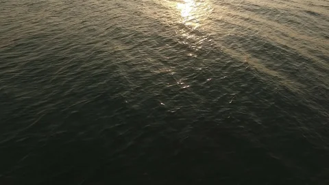 Endless horizon of the ocean 스톡 동영상 129118571