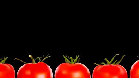 Endless loopable row of red fresh juicy ripe tomatoes on transparent background Stock Footage 129430746