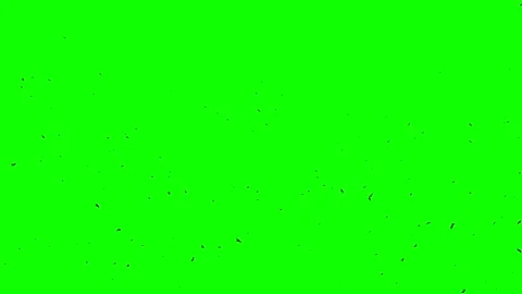 Endless looping flight of black raven flocks in the sky Seamless loop ready Stock Footage 229928016