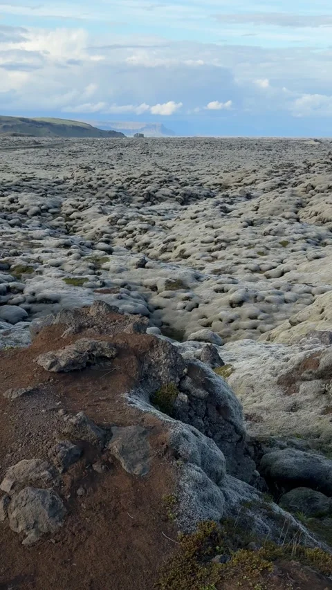 Endless moss-covered lava fields in Iceland, volcanic landscape with woolly  Video stock 331766393