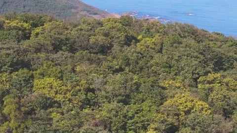 Endless Ocean Beyond the Hills 스톡 동영상 320877755