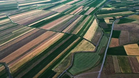 Endless Patchwork Fields from Above Stock Footage 308857099