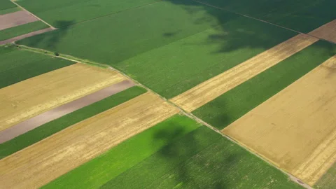 Endless plain agricultural lands creating patchwork viewed from above Stock Footage 262899392