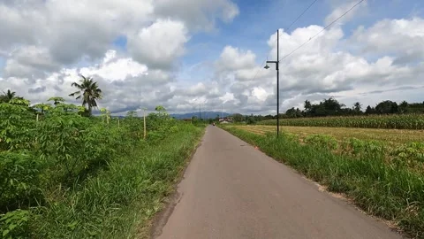 Endless Rice Fields and Blue Sky – Motorcycle Ride Through Sleman Countryside Stock-Footage 320892069