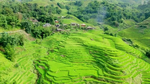 Endless rice terracing and remote village, drone orbit over in Lao Cai, north Stock Footage 342356591
