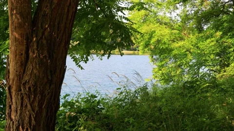 Endless River Scenery Stock Footage 161889370