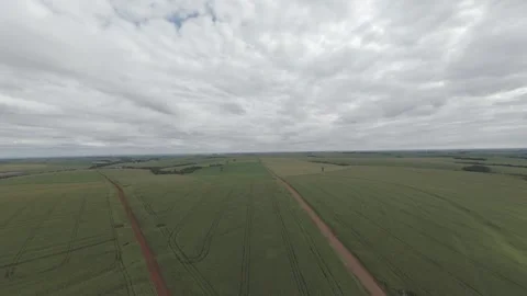 Endless Road Through Farmlands at Sunset – Drone View Stock Footage 306474322