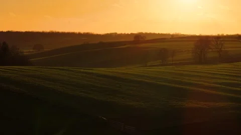 Endless rolling hills and scattered trees bathed in warm golden sunlight. Stock Footage 306012830