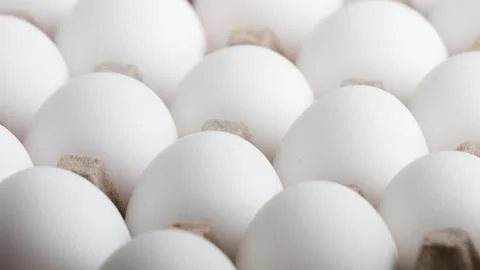 Endless rows of eggs up close Фото