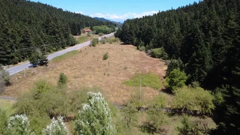 Endless rural highway cutting through alpine fir forest and dry grassland valley Stock Footage 326353393
