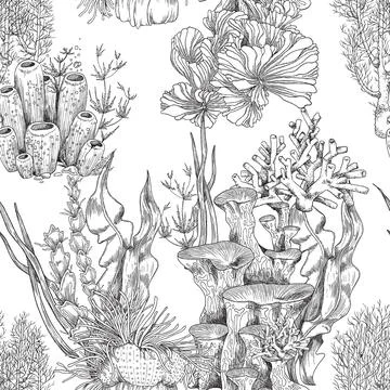 Endless seamless pattern with coral reef plants, vintage vector illustration. イラスト素材