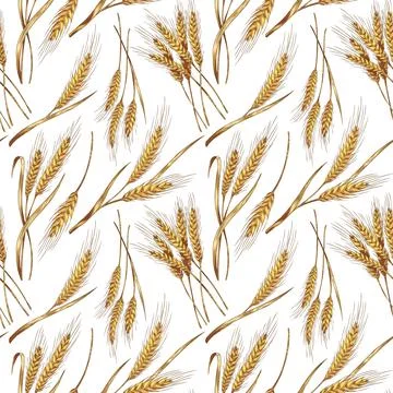 Endless seamless pattern design with wheat cereals plants, vector illustration. イラスト素材