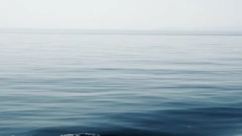 Endless seascape. Stock Footage 203482158