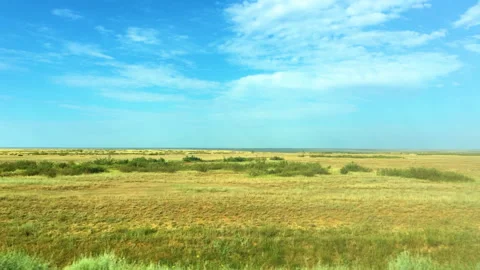 Endless steppes of Kazakhstan. Flat Earth. Constant winds. Tumbleweed. Video  Stock Footage 244442218