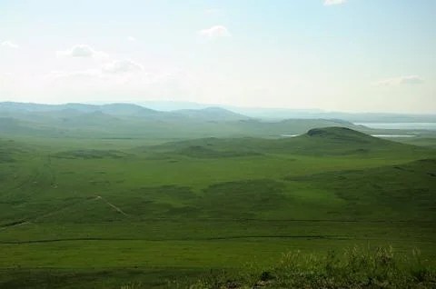 Endless steppes with sparse rows of bushes and green grass. Stock Photos