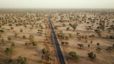 Endless Straight Road Through Sahara Desert near Thiès at Sunset Drone View Video stock 316957589