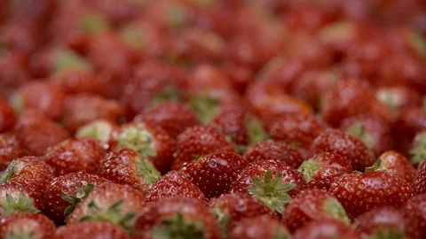 Endless strawberries Stock Footage 128719067