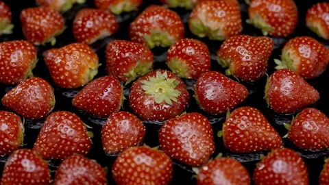 Endless strawberries rotating in formation Stock Footage 128718761