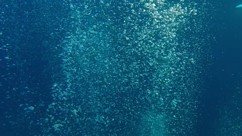 An endless stream of air bubbles rising upward from deep sea against blue water  Stock Footage 312869839