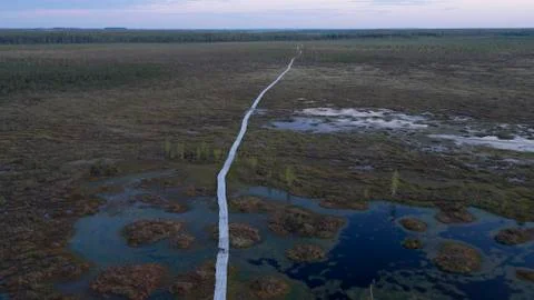 Endless Swamps Stock Photos