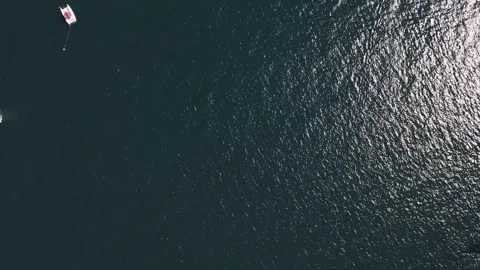 Endless texture of silent water surface in sunny day Stock Footage 144684881