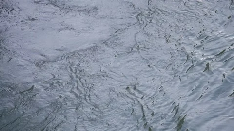 Endless texture of silent water surface in sunny day Stock Footage 170031206