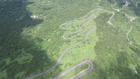 Endless Twists in the Forest 스톡 동영상 326427336