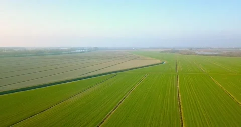 Endless vegetable field plots of green and brown colours Stock Footage 149611959