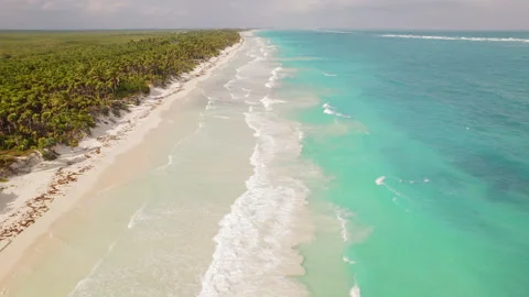 Endless white sand beach bordered by turquoise sea and dense palm tree forest Video stock 316758742