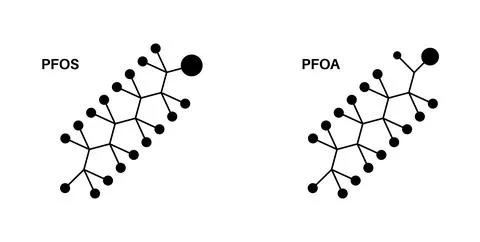 Endocrine disruptors formula Illustrazione stock