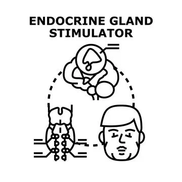 Endocrine gland stimulator concept vector illustration Stock Illustration