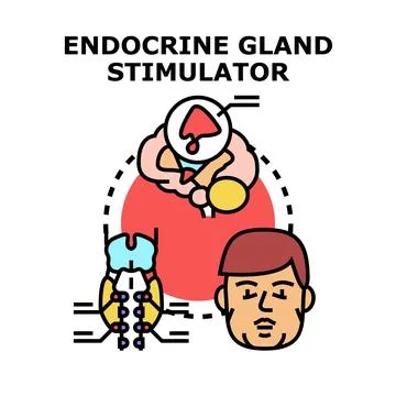 Endocrine gland stimulator concept vector illustration Stock Illustration