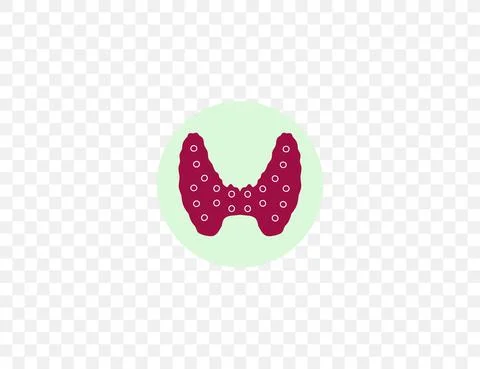 Endocrine gland, thyroid. Vector illustration. Flat design. Stock Illustration
