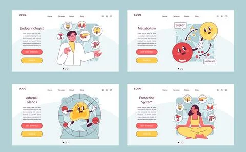 Endocrine system organs and disease web banner or landing page. Human pituitary Stock Illustration