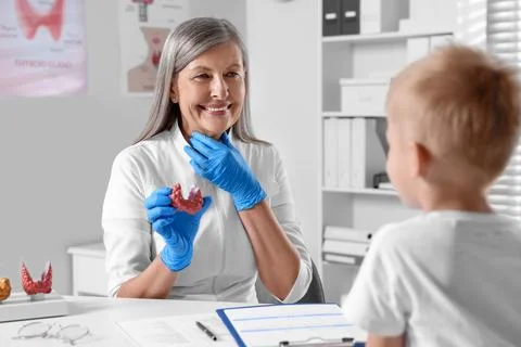 Endocrinologist showing thyroid gland model to little patient at table in h.. Stockfoto's
