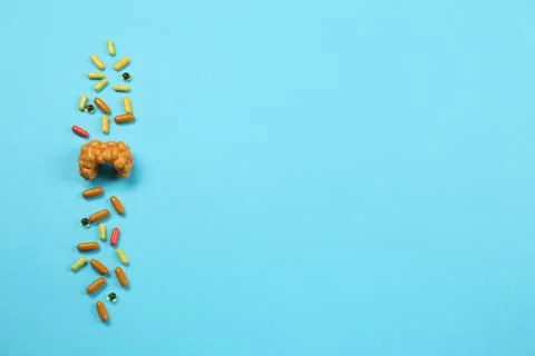 Endocrinology. Capsules and model of thyroid gland on light blue background.. Stockfoto's