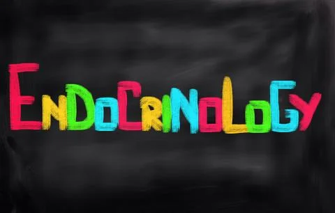 Endocrinology Concept イラスト素材