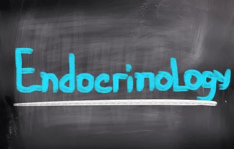 Endocrinology Concept Illustrazione stock