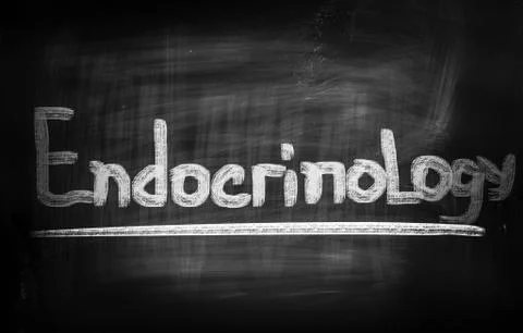 Endocrinology Concept イラスト素材