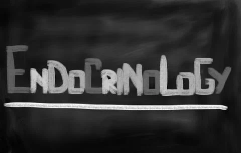 Endocrinology Concept Stock Illustration