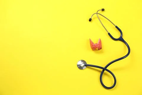 Endocrinology. Stethoscope and model of thyroid gland on yellow background,.. Stock Photos