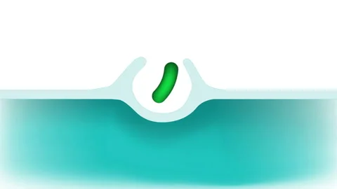 Endocytosis Vidéo 130800190