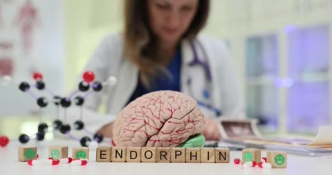 Endorphin wooden blocks with brain model and molecular structure Stock Footage 317170365