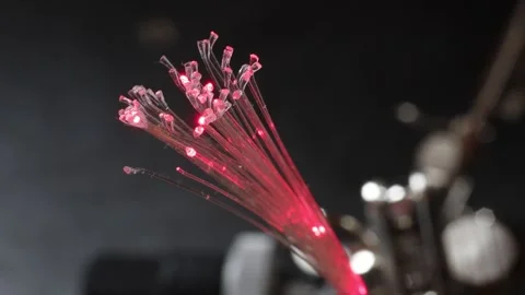 Endoscope camera with LED lights Stock Footage 342726619