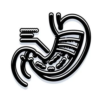 Endoscope viewing stomach lining and digestive process Stock Illustration