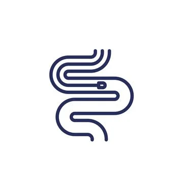 Endoscopy procedure line icon on white Stock Illustration